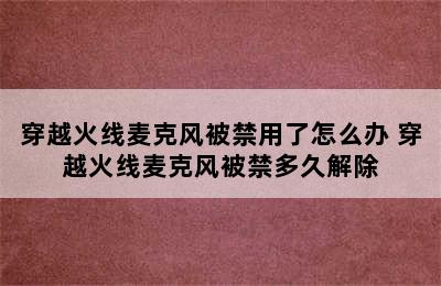 穿越火线麦克风被禁用了怎么办 穿越火线麦克风被禁多久解除